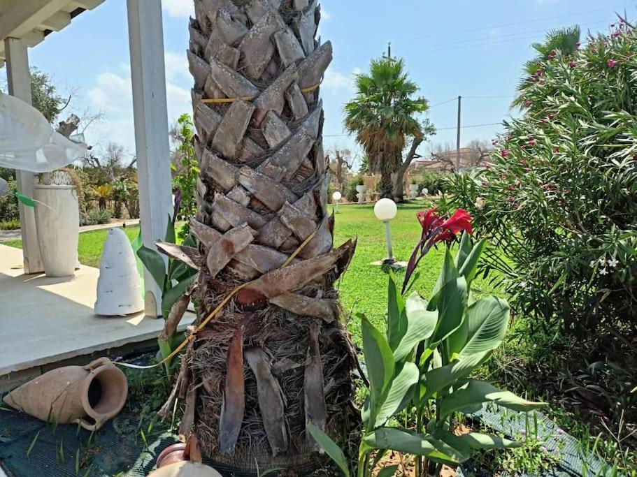 Villa Delle Stelle Con Piscina Leverano Εξωτερικό φωτογραφία