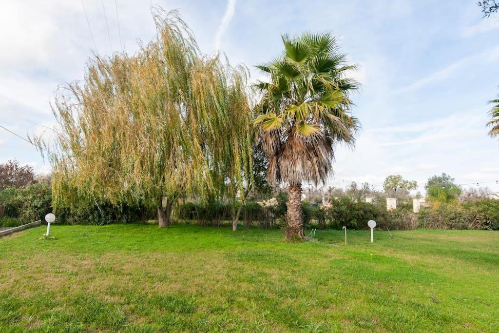 Villa Delle Stelle Con Piscina Leverano Εξωτερικό φωτογραφία